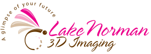 Lake Norman 3D Imaging